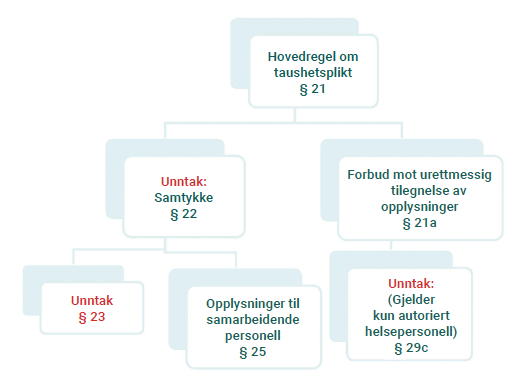 Vernepleier som autorisert helsepersonell